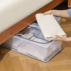 Clear Foldable Shoe Storage Bag